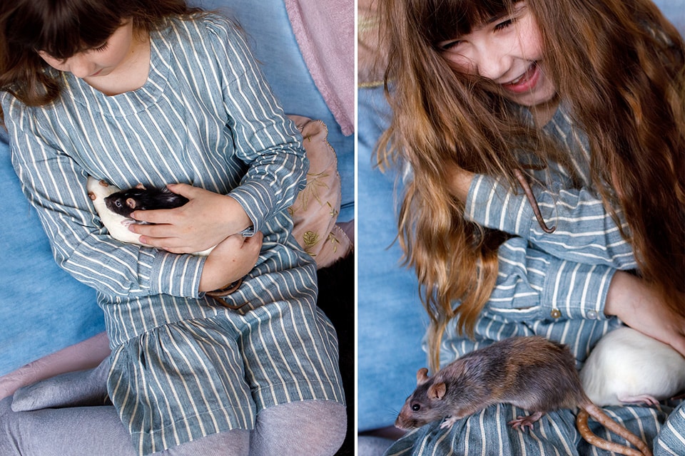 Meisje knuffelt lachend met haar ratjes op de bank