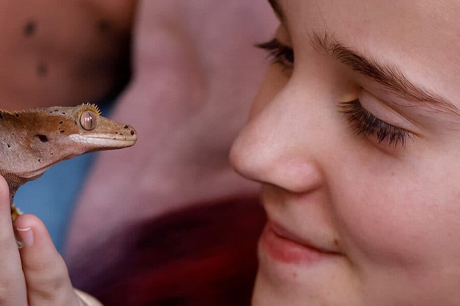 Meisje kijkt haar gekko diep in de ogen bij familiefotografie Amsterdam