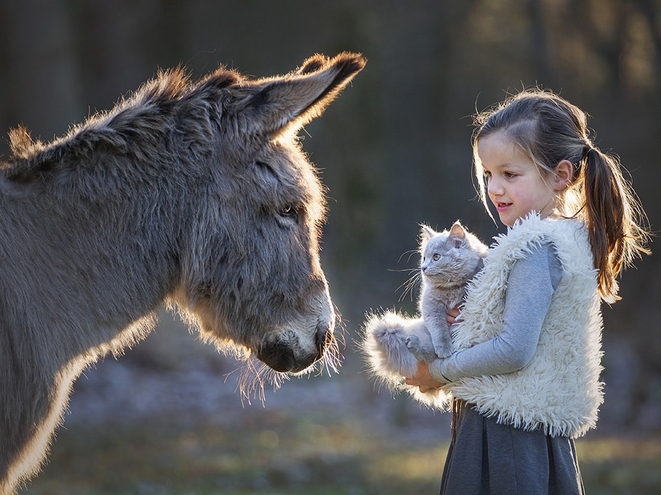 Meisje met kat op arm wordt begroet door ezel