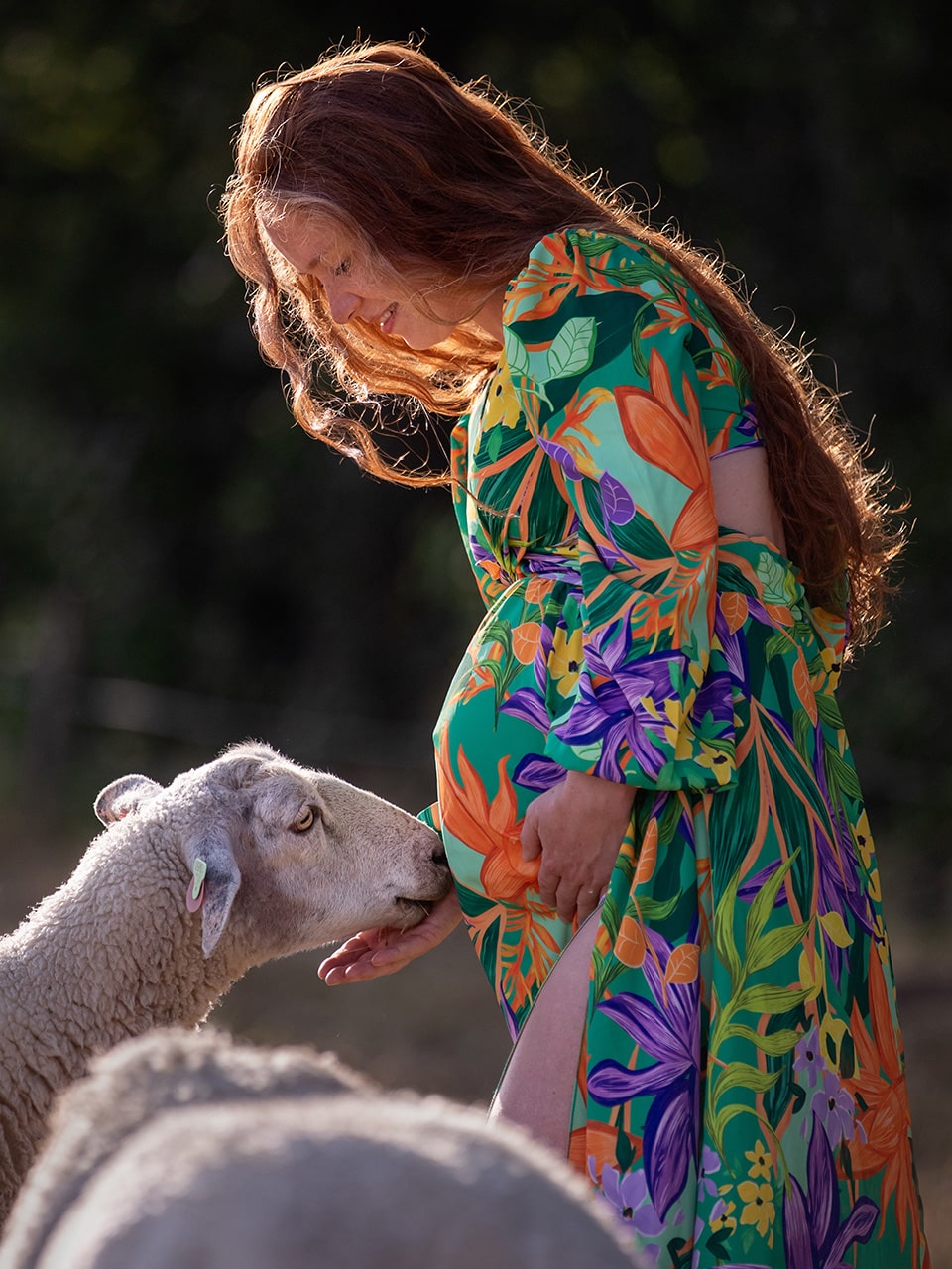 Zwangere vrouw wordt liefdevol door een van haar schapen benadert terwijl de avondzon door haar lange haren schijnt