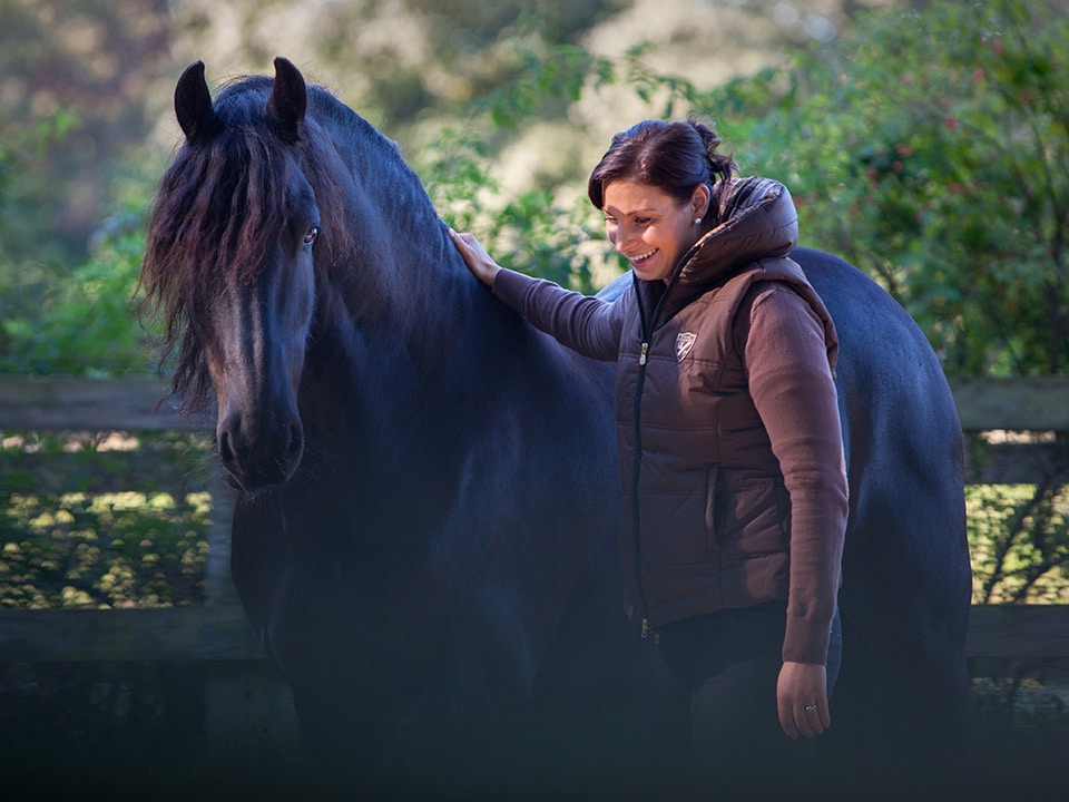 Fries paard kijkt mooi verllicht naar zijn eigenaresse terwijl zij lachend haar hand op zijn rug houdt