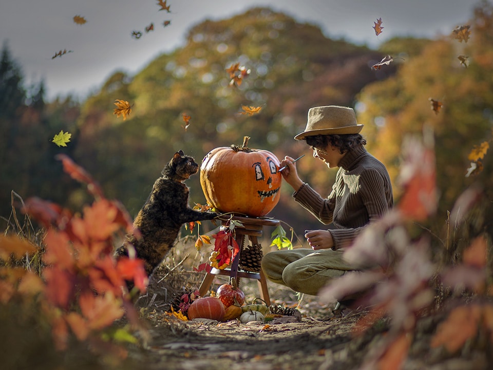 Jongen is in een veld vrolijk een pompoen aan het schilderen terwijl zijn kat toekijkt en de herfstbladeren om hen heen vallen