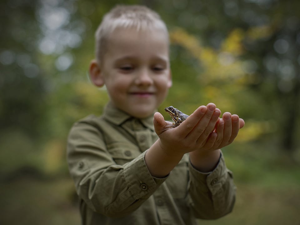 Jongen in bos houdt kikker in zijn handen die naar hem kijkt