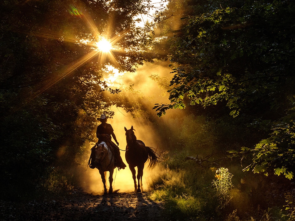 Silhouet van ruiter met handpaard in spectaculaire zonsondergang