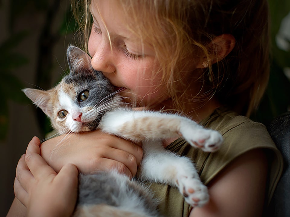 Meisje houd innig een driekleurig poesje in haar armen en drukt haar gezicht in de nek van het beestje