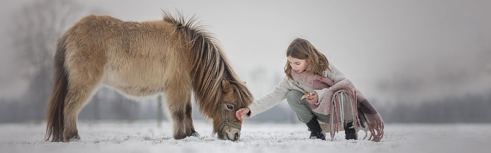 Huisdierfotografie en mijn ambitie voor een impact op onze samenleving