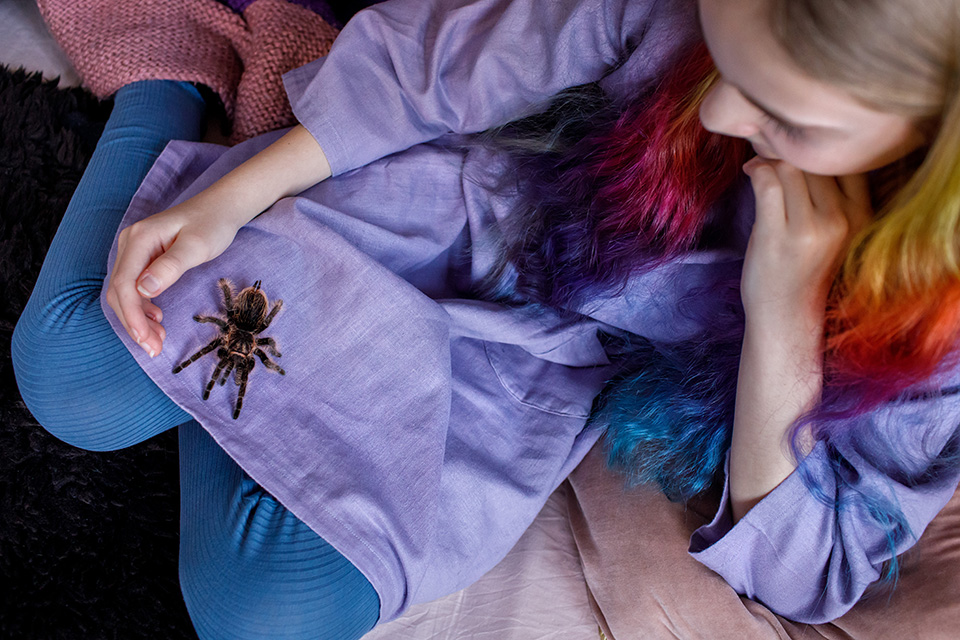 Meisje in paarse jurk heeft vogelspin op haar schoot