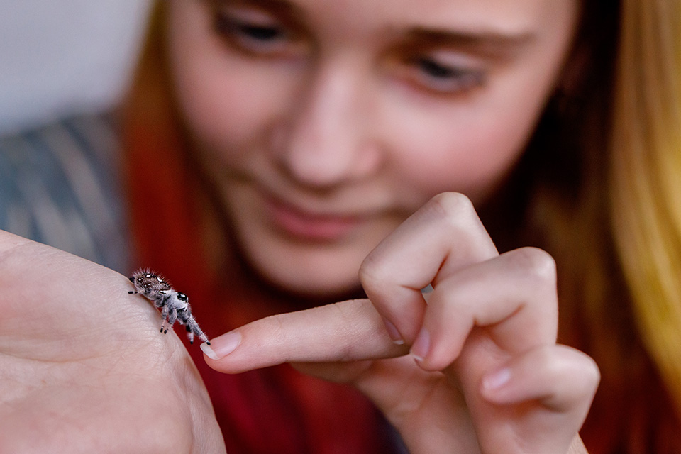Bijzondere ontmoetingen: poot van springspin raakt vinger van meisje aan