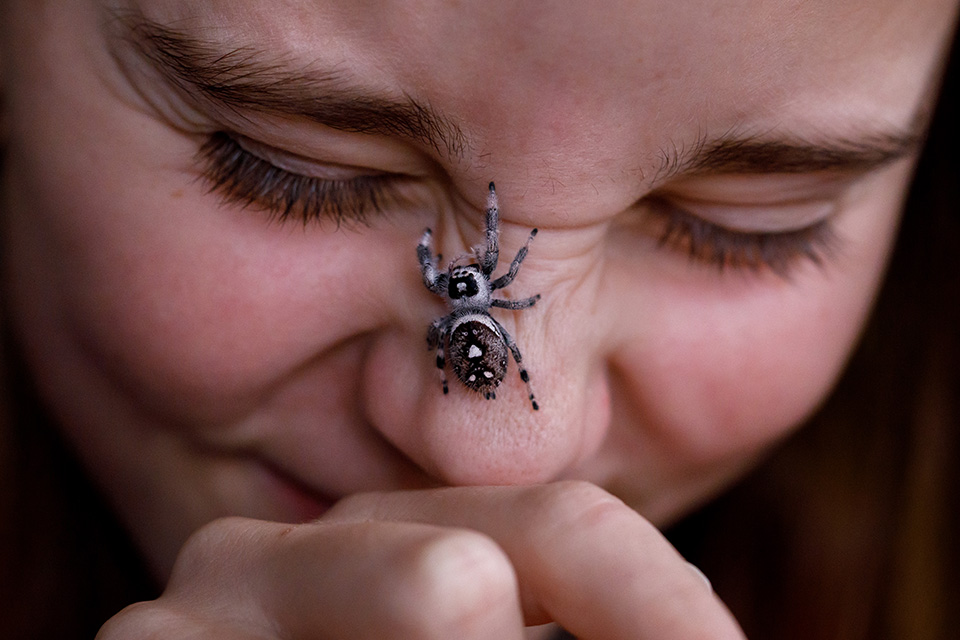 Bijzondere ontmoetingen: springspin in op gezicht van meisje gesprongen en zij rimpelt lachend haar neus