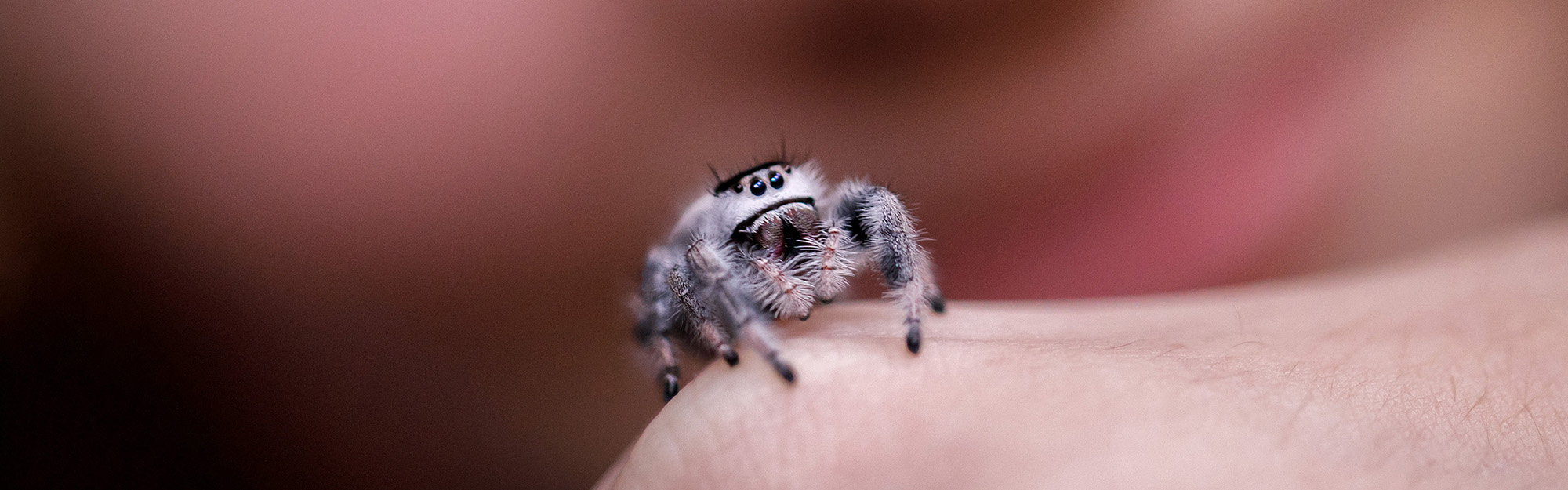 Bijzondere ontmoetingen