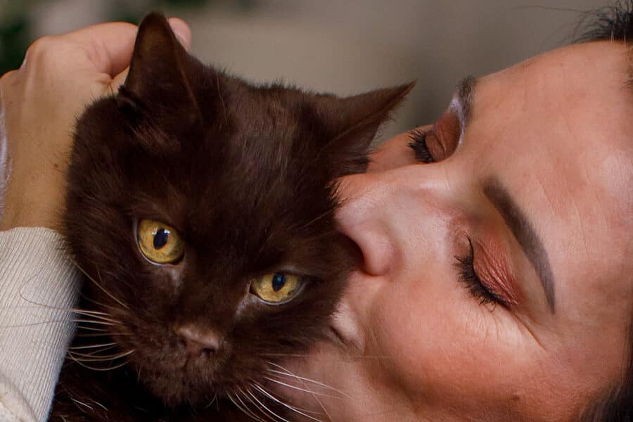 Vrouw kust haar bruine seniorkat liefdevol