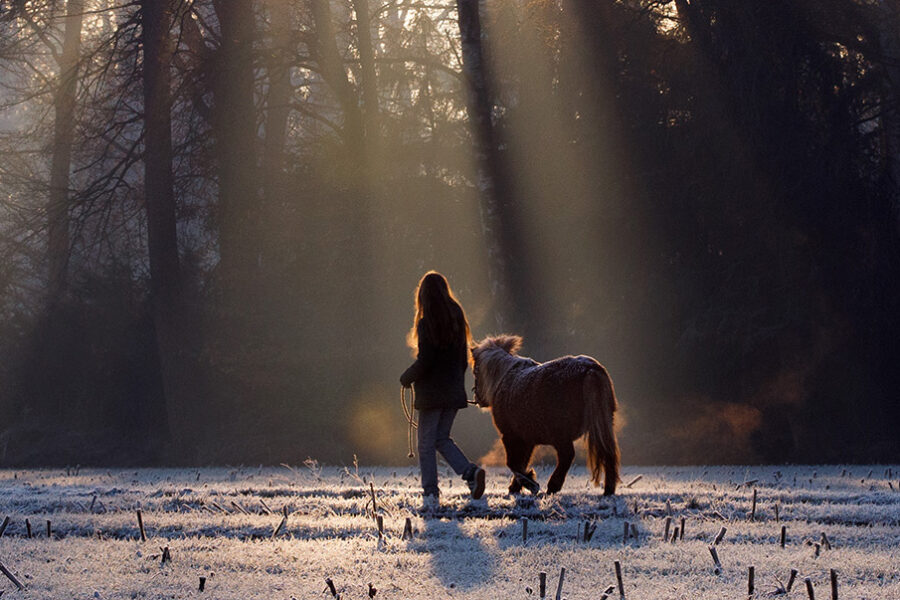 meisje wandelt met pony door zonnestralen op winterochtend