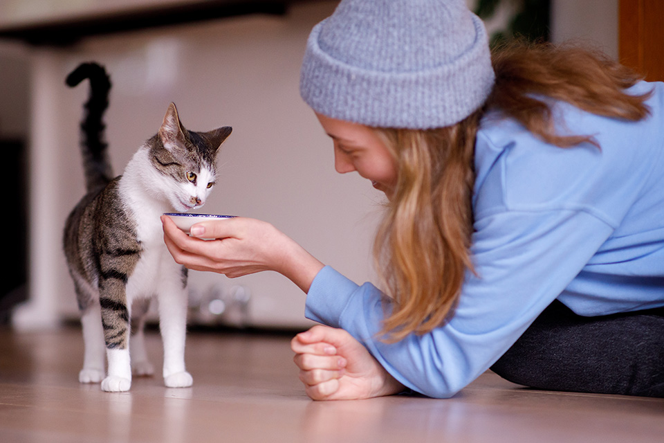 Kat krijgt een bakje melk aangeboden van haar vrouwtje