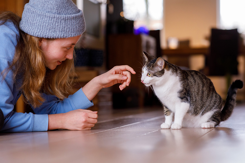 Kat steekt tong uit naar haar vrouwtje