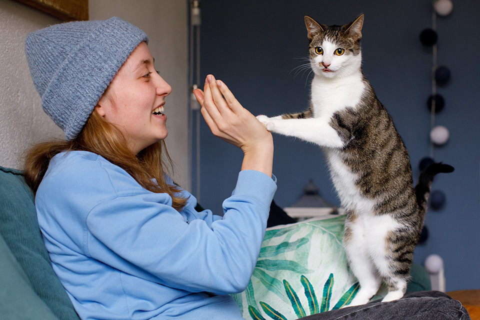 Kat heeft high-5 aan haar vrouwtje