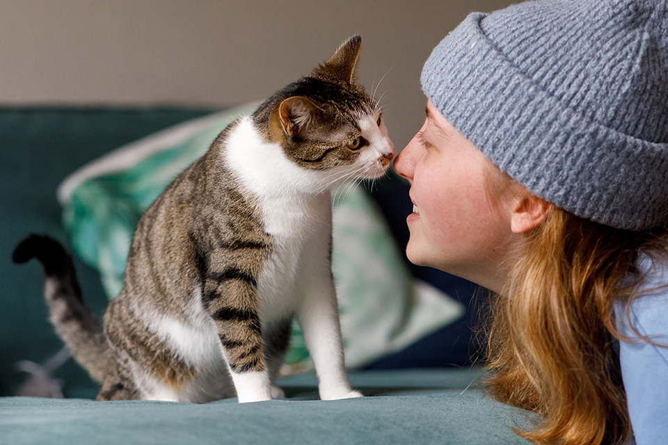 Kat snuffelt voorzichtig aan neus van haar vrouwtje