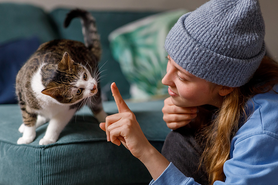 Kat en haar vrouwtje kijken gefascineerd naar  vinger met snoepje erop