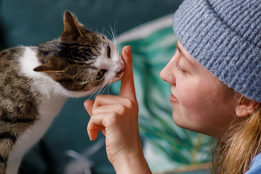 Kat likt aan vinger van vrouwtje