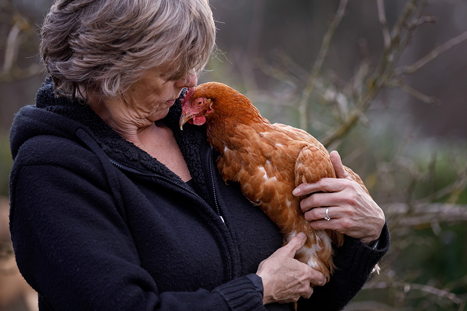 Vrouw houdt liefdevol bruine kip vast