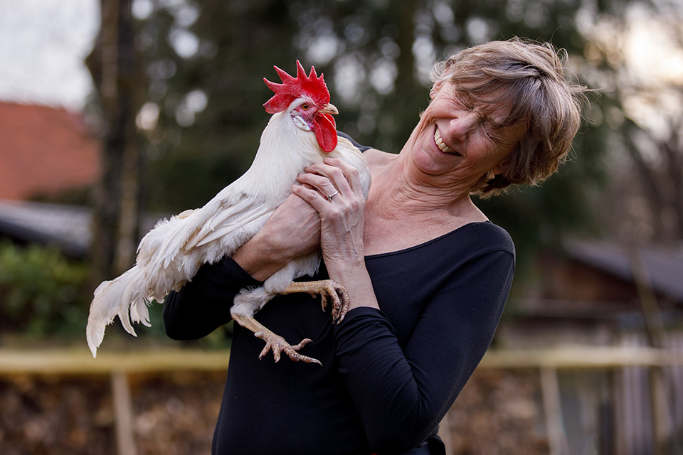 Vrouw van red een legkip met witte haan op haar arm krijgt de slappe lach. 