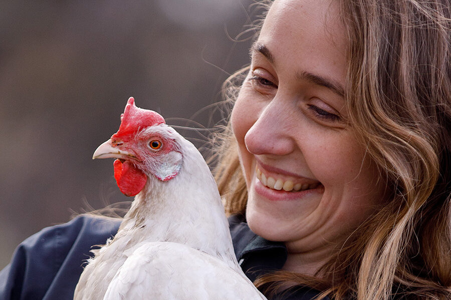 Meisje van red een legkip lacht naar witte kip op haar arm