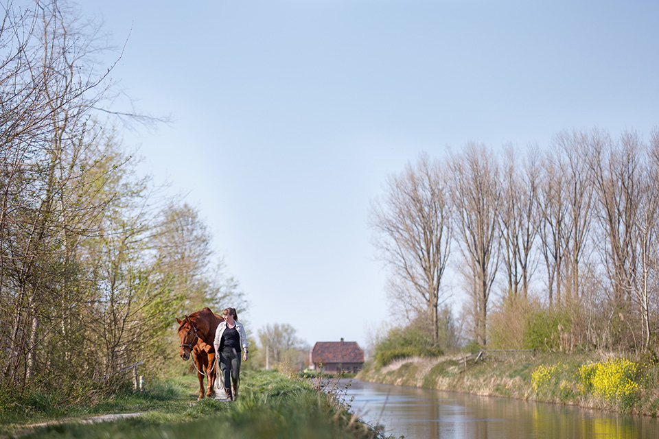 Vrouw loopt met paard langs kanaal