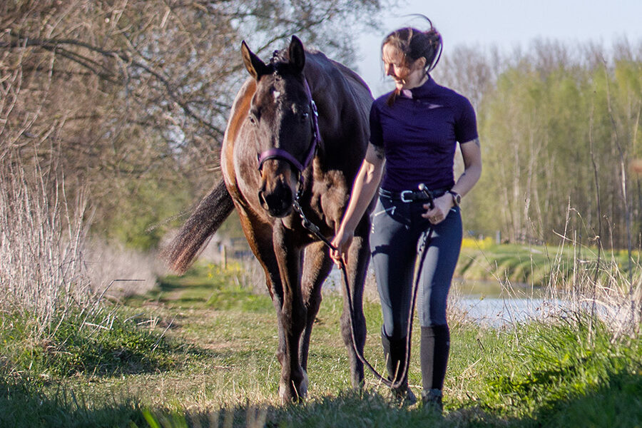 Vrouw wandelt met paard langs kanaal en kijkt liefdevol naar het dier.