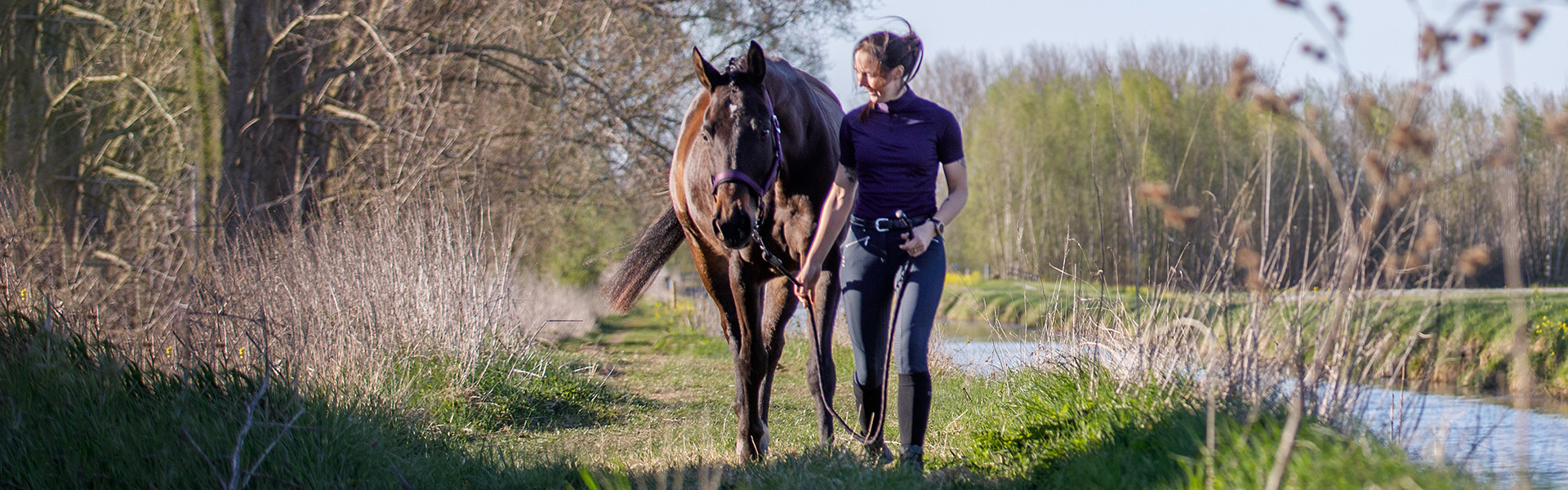 Paardenportretten Mariënwaerdt