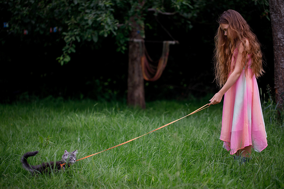 Meisje in roze jurk laat Maine Coon kitten uit in de tuin