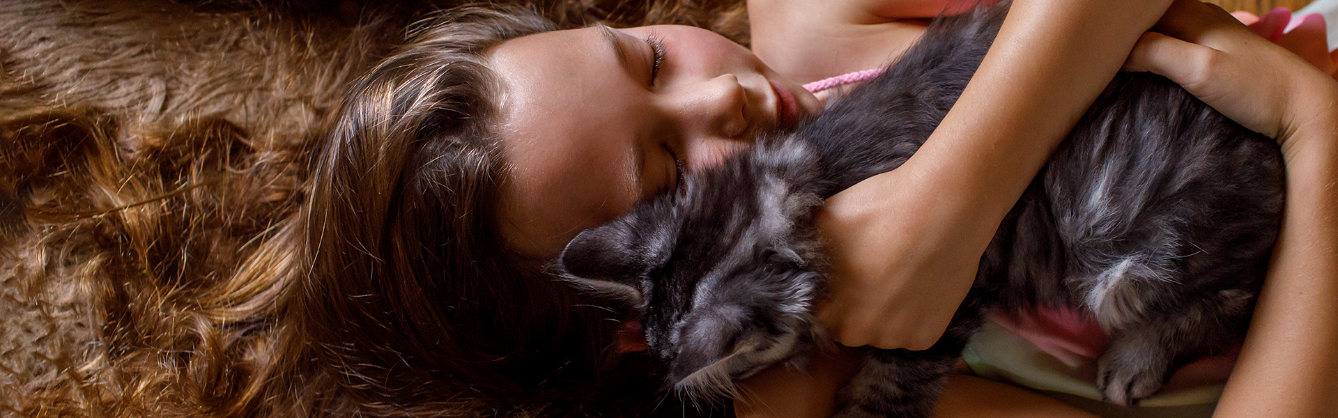 Kitten thuisreportage – zeven kittens en een baardagaam